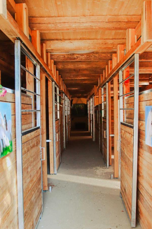 Amd Chalet Stang bei Hatzendorf エクステリア 写真